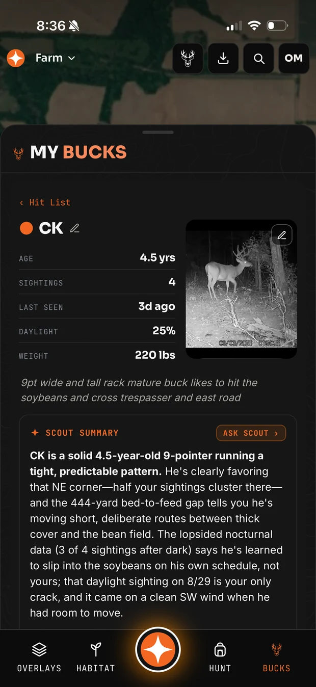 A target buck profile in Contors with sightings, daylight percentage and a Scout summary